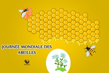 2ème journée mondiale des abeilles